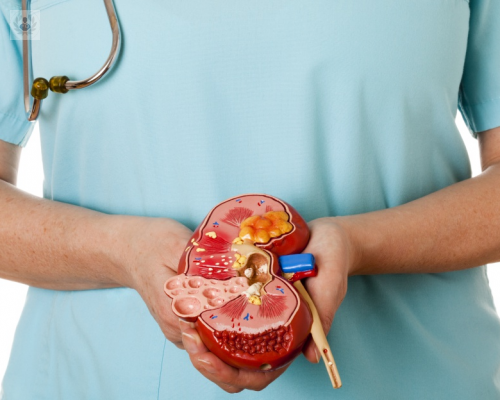 la-litiasis-renal-o-piedras-en-los-rinones imagen de artículo