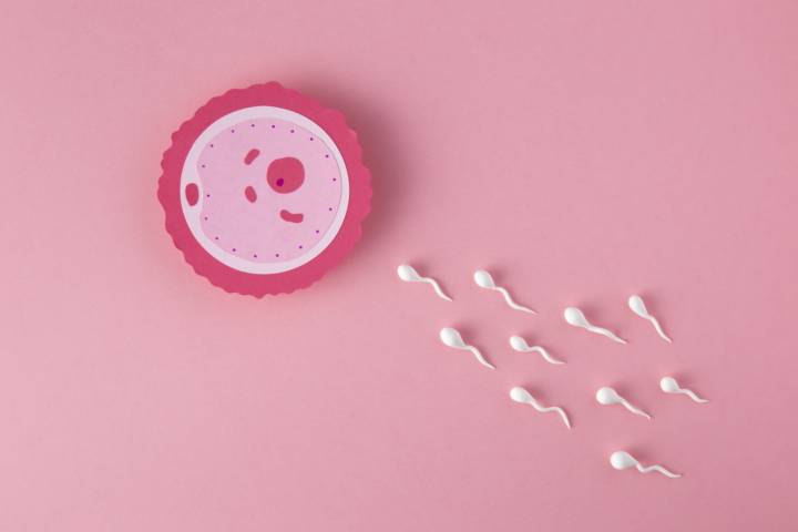 la-criopreservacion-de-ovocitos-una-ventana-abierta-de-esperanza-para-la-fertilidad-de-muchas-mujeres imagen de artículo