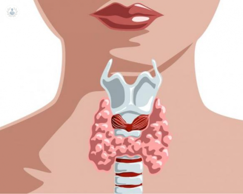 cirugia-de-tiroides-una-intervencion-necesaria-para-casos-de-malignidad imagen de artículo