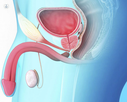 sintomas-diagnostico-y-tratamiento-del-cancer-de-prostata imagen de artículo