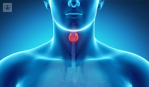 cirugia-del-tiroides-operacion-parcial-o-total-segun-la-enfermedad imagen de artículo
