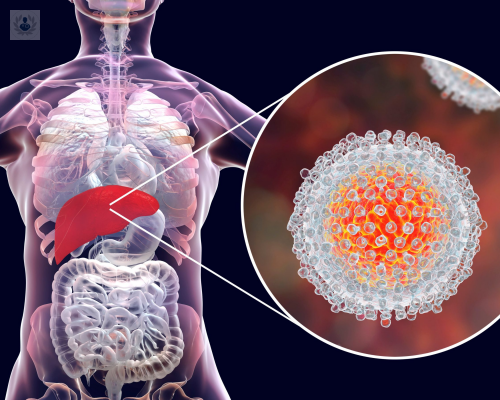 mas-de-la-mitad-de-las-personas-que-padecen-hepatitis-c-lo-desconocen imagen de artículo