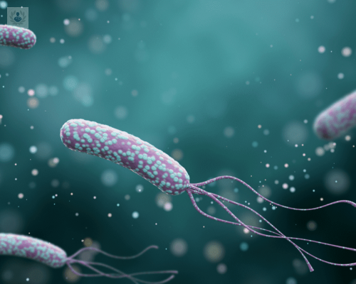 Helicobacter Pylori: ¿qué es y cómo tratarlo?