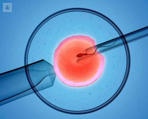 la-fecundacion-in-vitro-y-sus-avances imagen de artículo