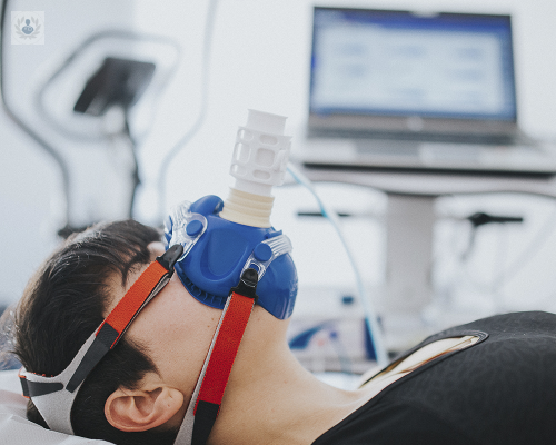 estudio-del-metabolismo imagen de artículo