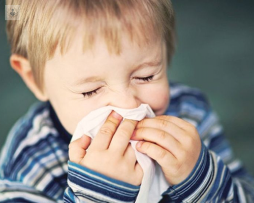 Las Alergias en la infancia