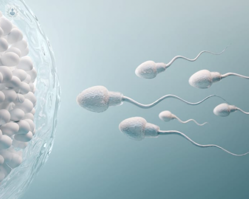 ¿Cómo saber si somos fértiles? el diagnóstico de la Fertilidad