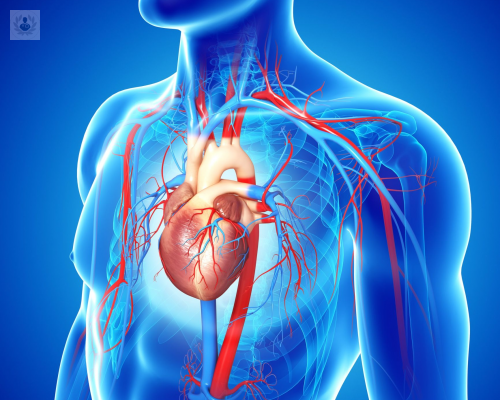 causas-y-tratamiento-del-aneurisma-de-aorta imagen de artículo