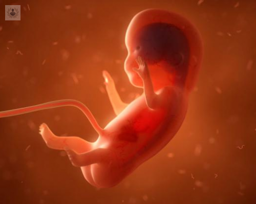 malformaciones-congenitas imagen de artículo