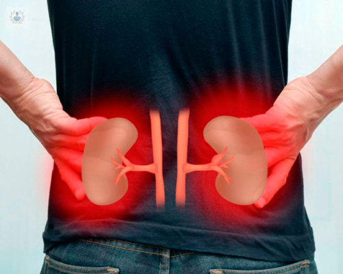 consejos-para-prevenir-el-dano-renal imagen de artículo