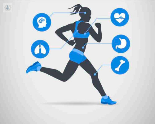 fisiologia-deportiva imagen de artículo