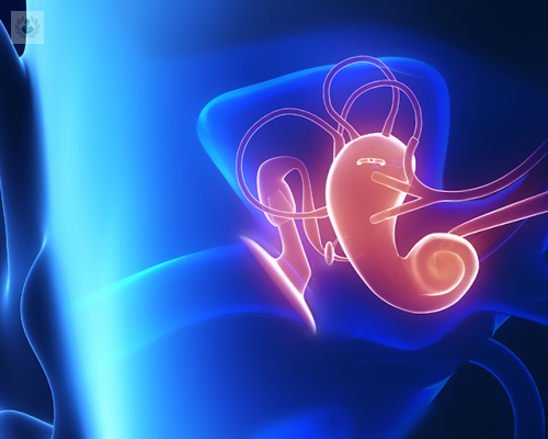 cirugia-del-oido-medio-en-que-consiste imagen de artículo