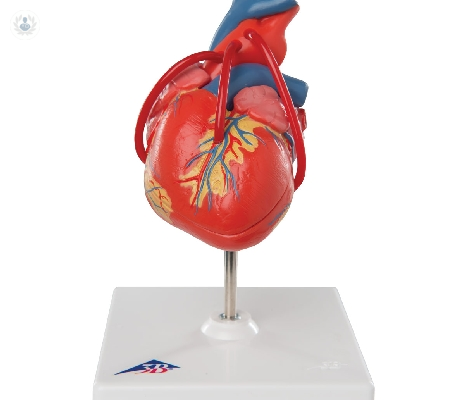en-que-consiste-la-tecnica-del-bypass-aortocoronario imagen de artículo
