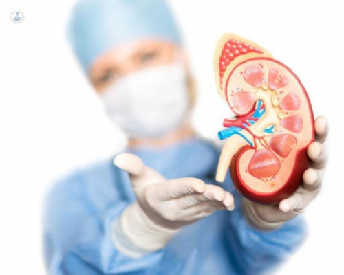 el-procedimiento-convencional-del-trasplante-renal imagen de artículo
