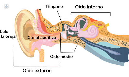 ¿En qué consiste la Cirugía del Oído Medio?