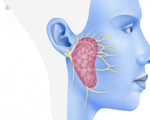 glandula-parotida-que-enfermedades-puede-padecer-y-como-tratarlas imagen de artículo