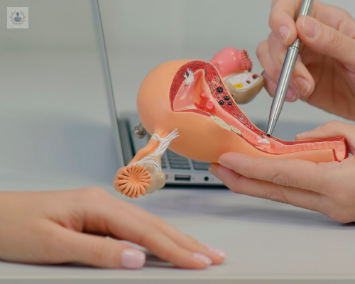 la-urologia-reconstructiva-corrige-obstrucciones-de-la-via-urinaria imagen de artículo