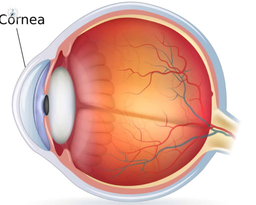 las-multiples-causas-de-las-enfermedades-de-la-cornea imagen de artículo