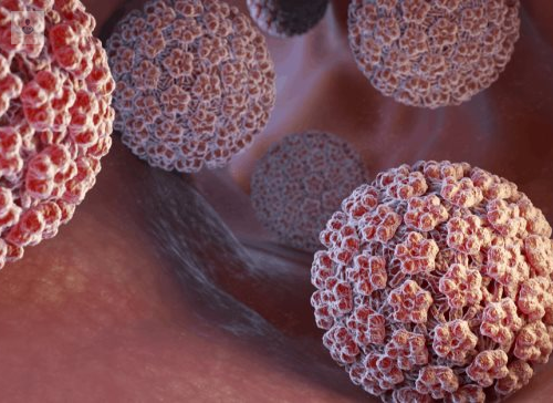 como-evitar-y-prevenir-el-virus-del-papiloma-humano imagen de artículo
