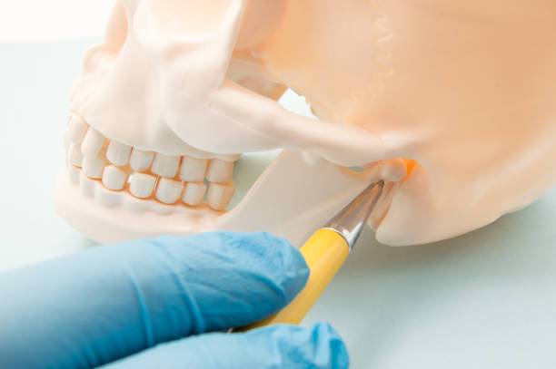 problemas-de-la-atm-articulacion-temporomandibular imagen de artículo