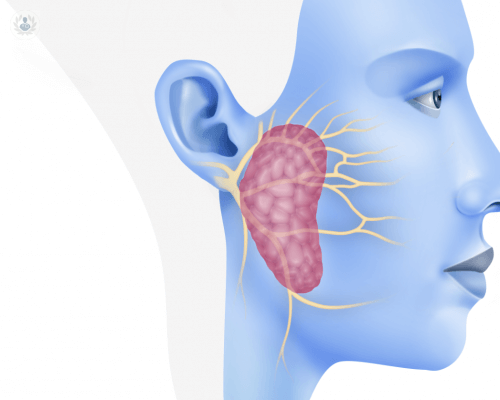 tratar-patologia-de-las-glandulas-salivares-sin-cirugia imagen de artículo