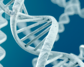 genetica-medica-la-importancia-del-adn imagen de artículo