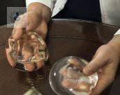 implantes-de-senos-garantia-de-por-vida imagen de artículo