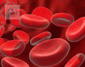 purpura-trombocitopenica-inmunologica-sintomas-y-tratamiento imagen de artículo