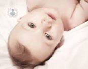 reproduccion-asistida-manipulacion-celular-para-lograr-el-embarazo-p2 imagen de artículo