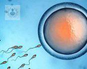 FIV: una alternativa de inseminación artificial que cambia la vida