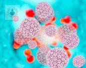 virus-de-papiloma-humano-vph-causa-principal-de-cancer-cervicouterino imagen de artículo