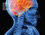 tumores-en-el-sistema-nervioso-periferico-que-son-y-como-se-tratan imagen de artículo