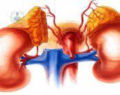 Glándulas suprarrenales: padecimientos más comunes