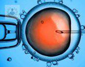 reproduccion-asistida-o-fecundacion-in-vitro imagen de artículo