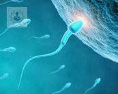In vitro fertilization or reproduction