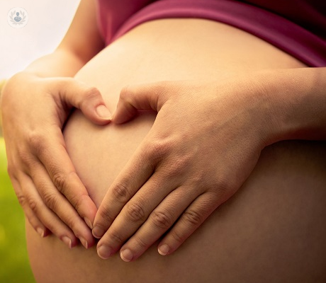 cirugia-reproductiva-ventajas-y-desventajas imagen de artículo