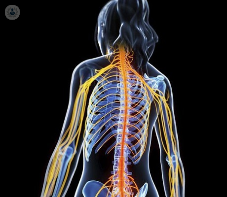 cirugia-de-nervios-perifericos-preparacion-previa-parte-2 imagen de artículo