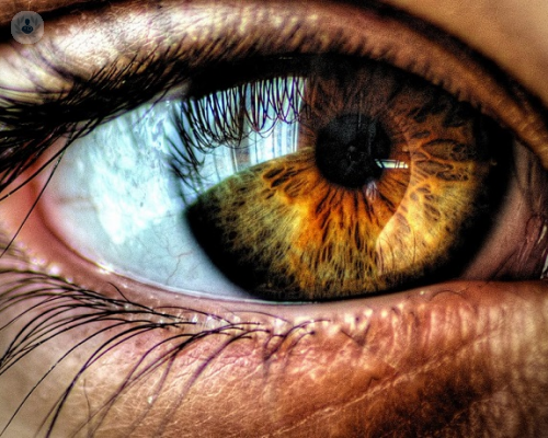 pupiloplastia-que-es imagen de artículo