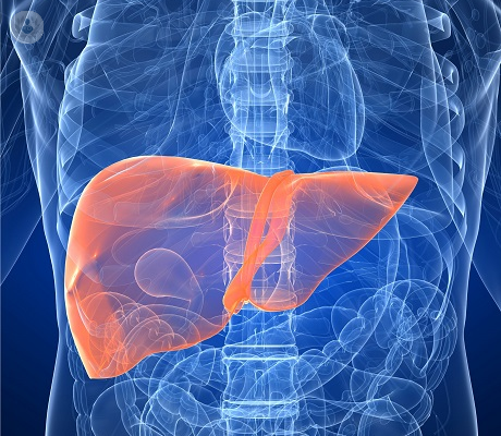 metastasis-hepatica-de-cancer-de-colon-tratamientos-disponibles imagen de artículo
