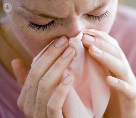 rinitis-alergica-inflamacion-de-la-mucosa-nasal imagen de artículo