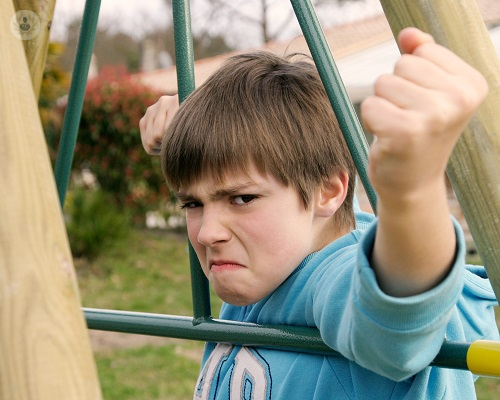 trastornos-de-conducta-como-afecta-el-medio-ambiente-parte-1 imagen de artículo