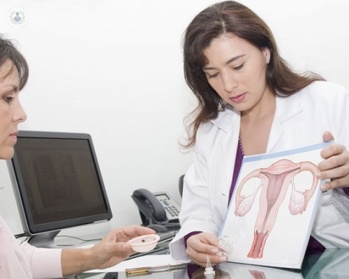 medicina-reproductiva-a-que-especialistas-debo-acudir imagen de artículo