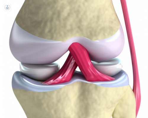 trasplante-de-cartilago-principales-causas-y-tratamiento-parte-1 imagen de artículo