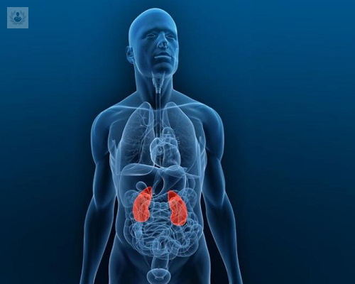 Diagnostica problemas biliares y pancreáticos a través de la CPRE