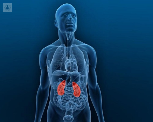 diagnostica-problemas-biliares-y-pancreaticos-a-traves-de-la-cpre imagen de artículo