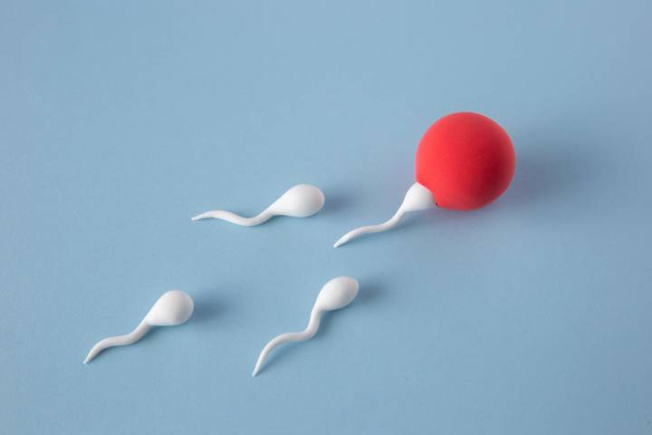 decidiste-cerrar-la-fabrica-ya-existe-forma-de-revertirlo imagen de artículo