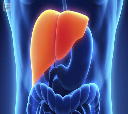 el-higado-y-sus-funciones imagen de artículo