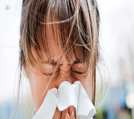 las-enfermedades-alergicas-y-su-tratamiento imagen de artículo