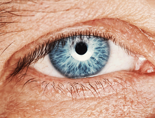lo-que-no-sabias-sobre-los-tumores-oculares imagen de artículo