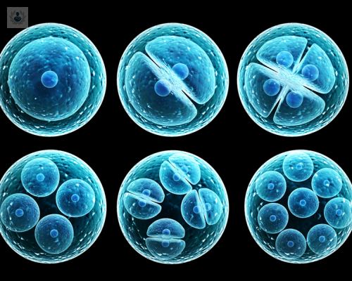 celulas-madre-un-regenerador-para-pieles-secas-y-apagadas imagen de artículo